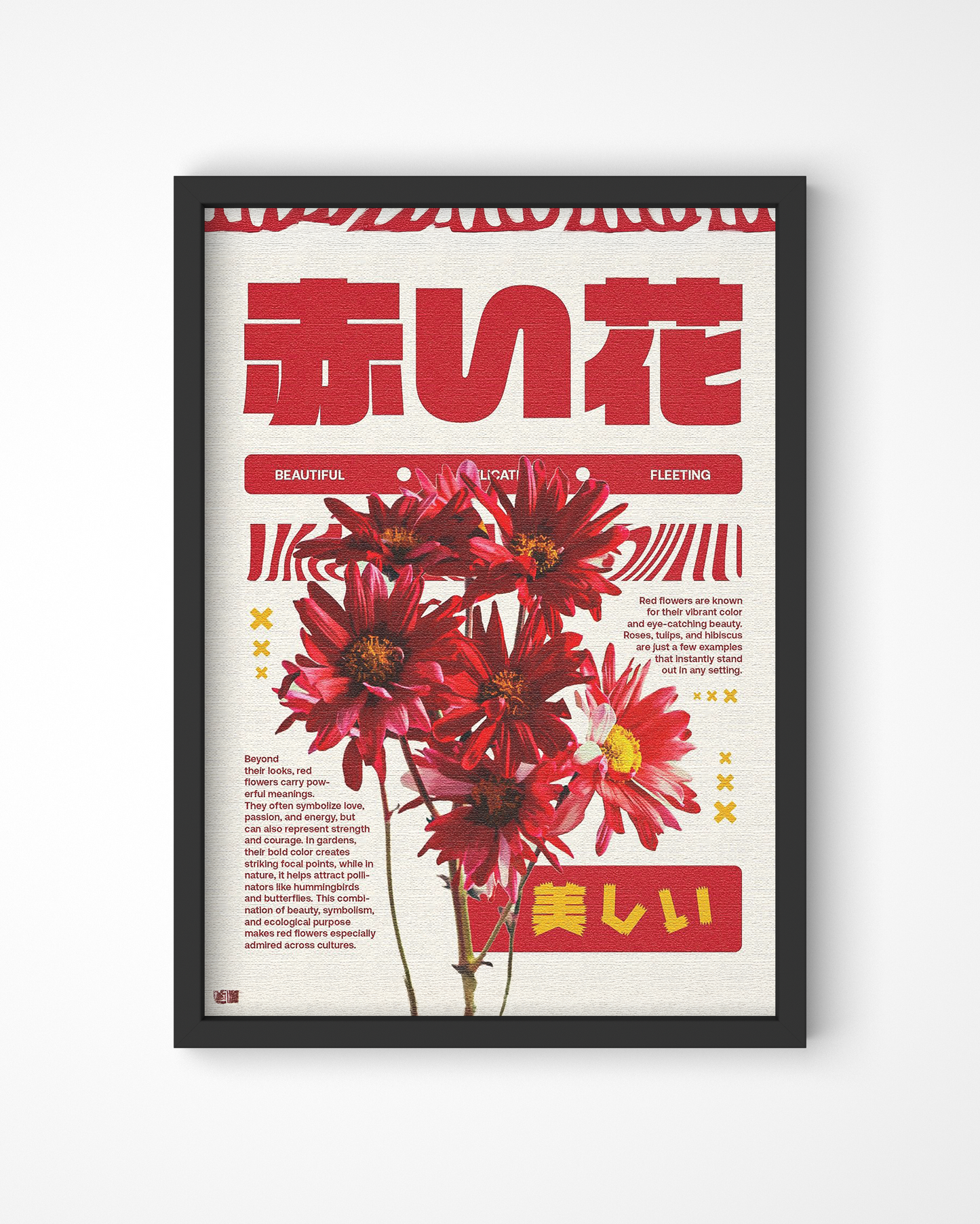 Red Chrysanthemum