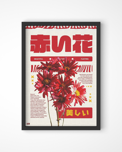 Red Chrysanthemum