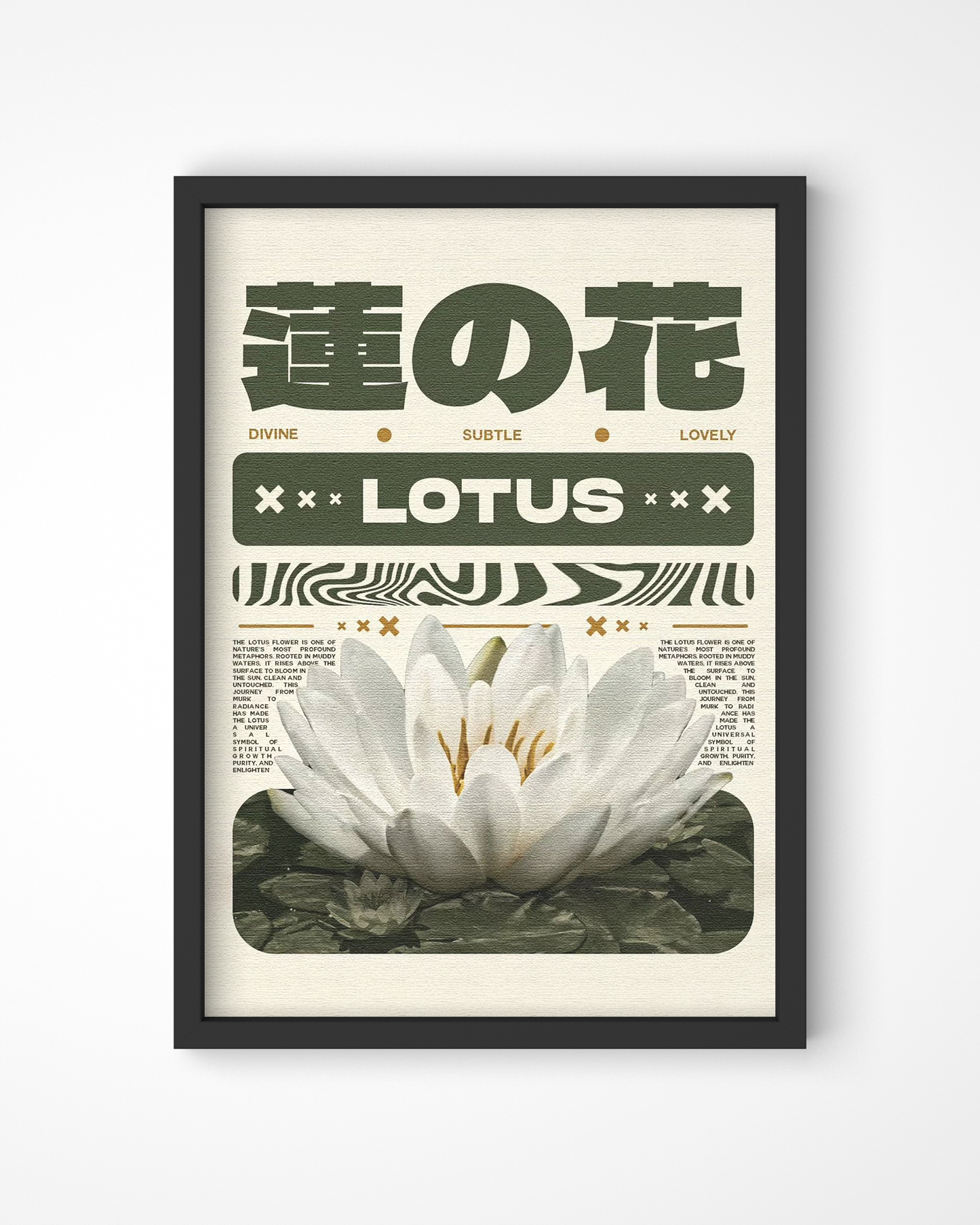 Lotus