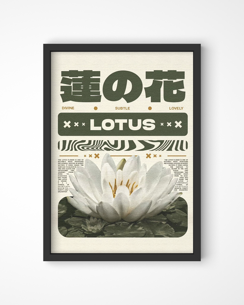 Lotus